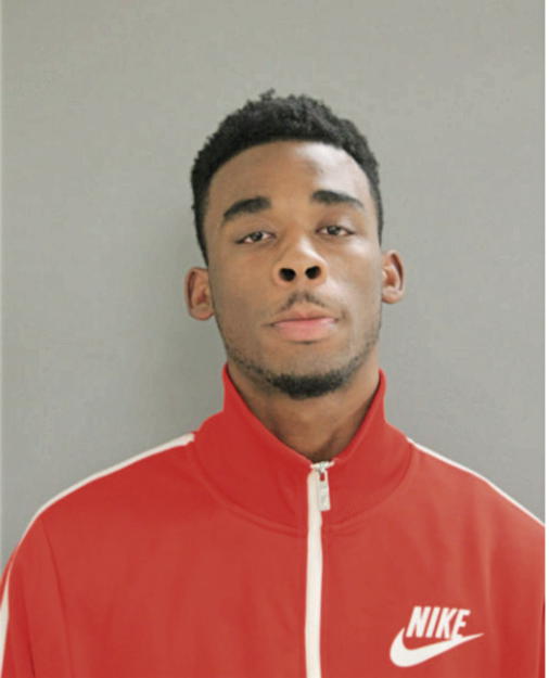 MICHAEL K BURNETT, Cook County, Illinois