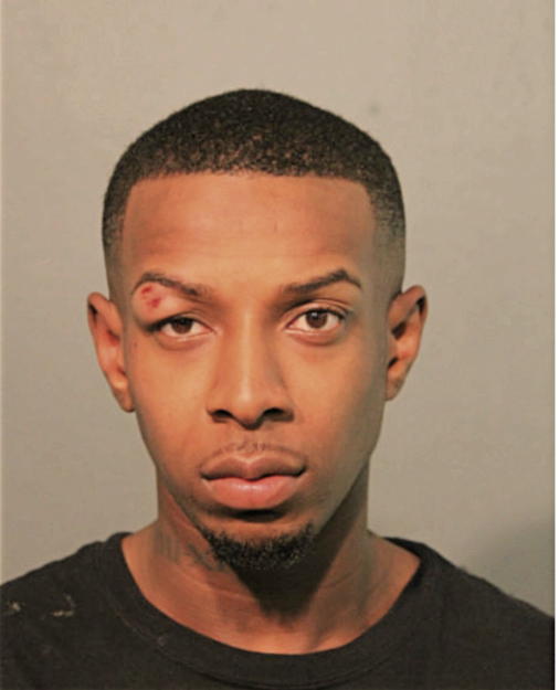 DAVID A BURSEY, Cook County, Illinois
