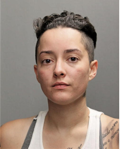 JESSICA N CARRASCO, Cook County, Illinois