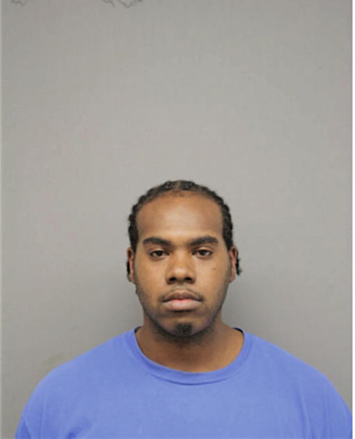 PAUL L DAVIS, Cook County, Illinois