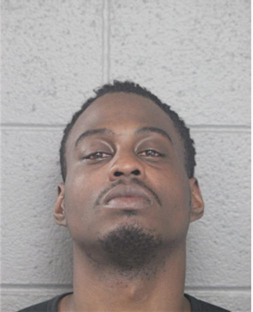 JUSTIN L ELLIS, Cook County, Illinois