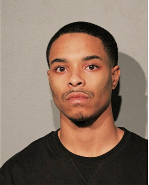 DHAMEER J FOLIE-JACKSON, Cook County, Illinois