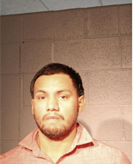 SERGIO D HERNANDEZ, Cook County, Illinois