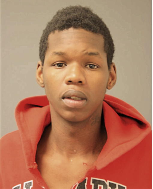 MICHAEL T HICKEY, Cook County, Illinois