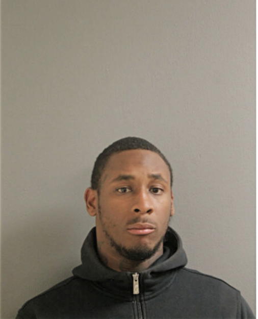 NIKO HINES, Cook County, Illinois
