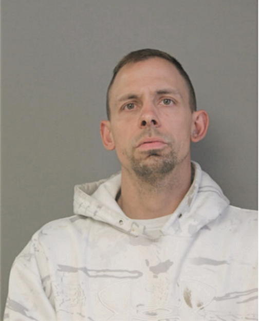 BRIAN J HOLTZ, Cook County, Illinois