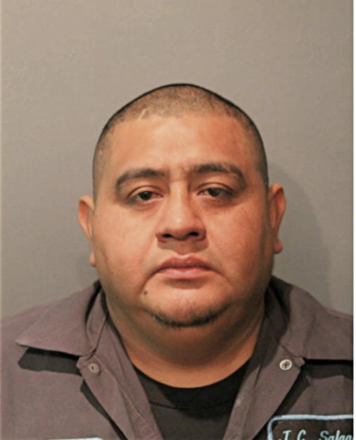 JUAN CARLOS INES, Cook County, Illinois