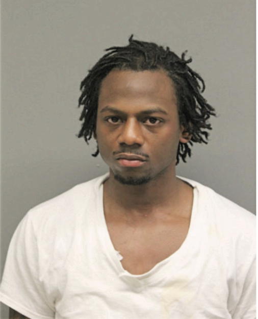 DEVON W LEE, Cook County, Illinois