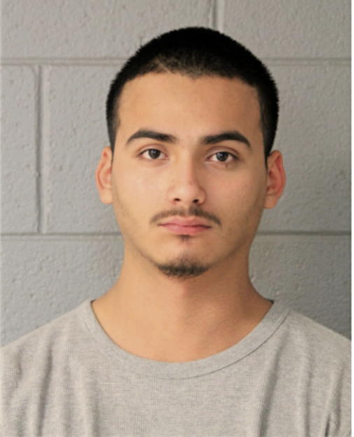 ERICK DELGADO LUNA, Cook County, Illinois