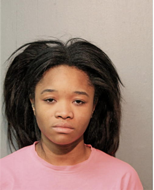 BRIANA K MEEKS, Cook County, Illinois