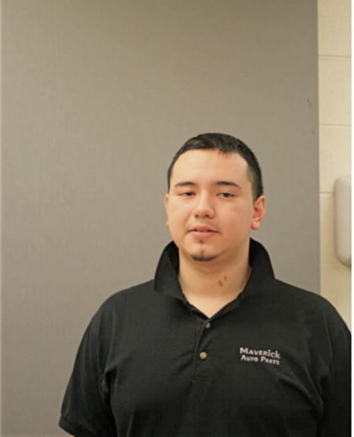 MARCO A MEJIA, Cook County, Illinois