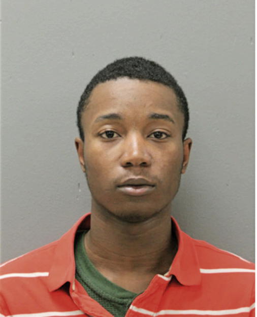 CHAPMAN L NELSON, Cook County, Illinois