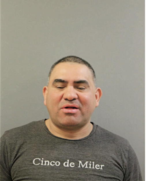 RAUL S RIVERA, Cook County, Illinois