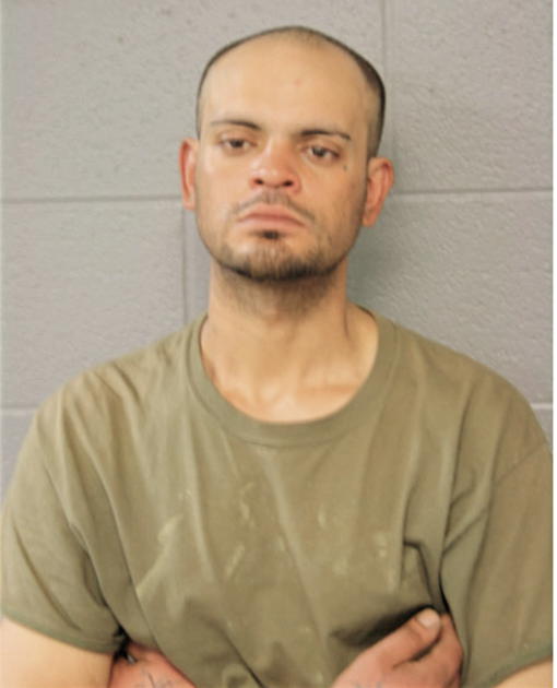 JONATHAN ROCHE, Cook County, Illinois