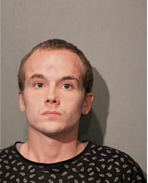 ROBERT J ROEH, Cook County, Illinois