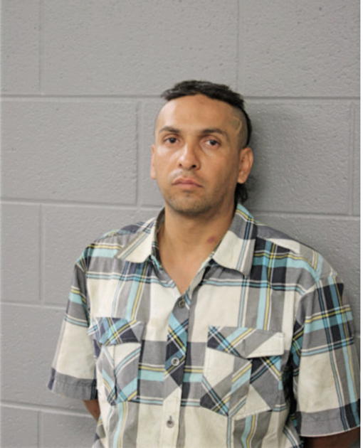 JAVIER SILVA, Cook County, Illinois