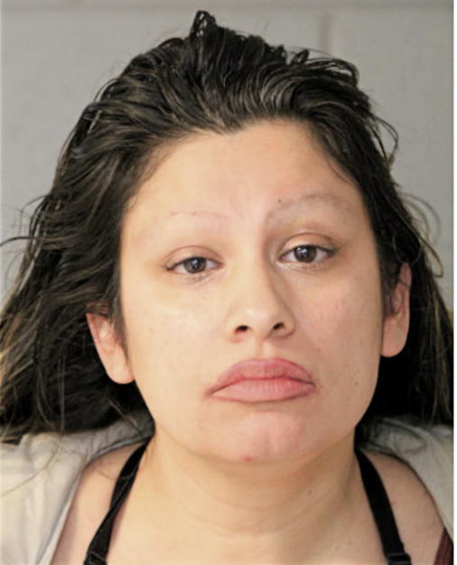 LISA M VERA, Cook County, Illinois