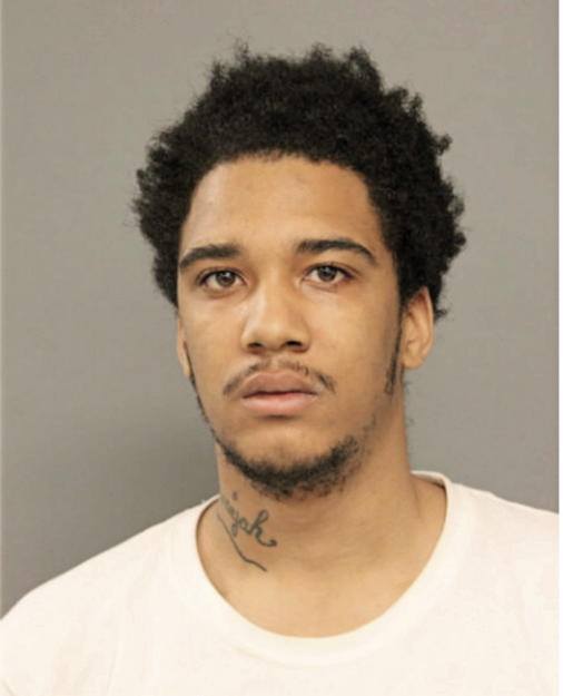 REGINALD D WATKINS, Cook County, Illinois