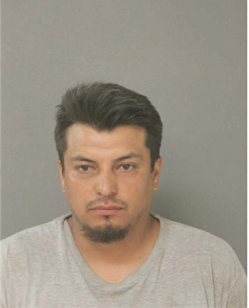 JULIO C ALCALA ROJAS, Cook County, Illinois