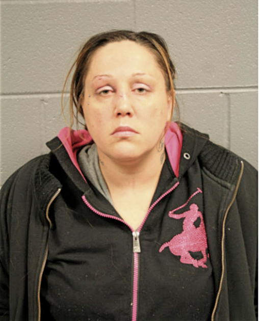 TRACY L ANDERSON, Cook County, Illinois