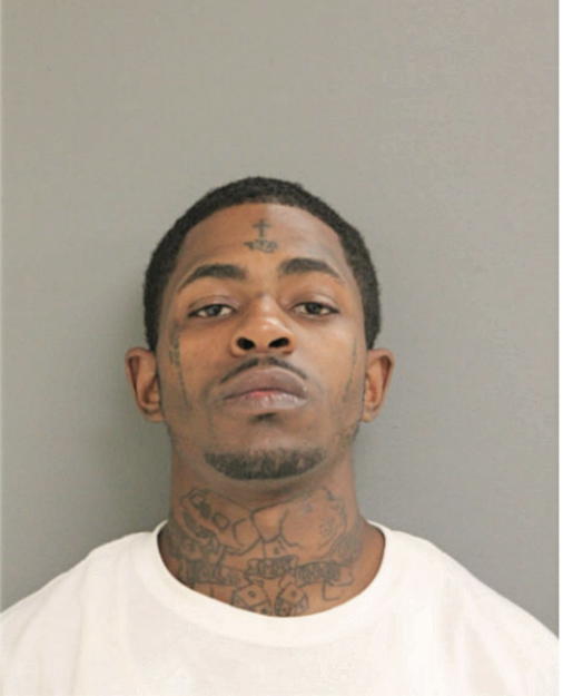 TYRONE J BLAKE, Cook County, Illinois