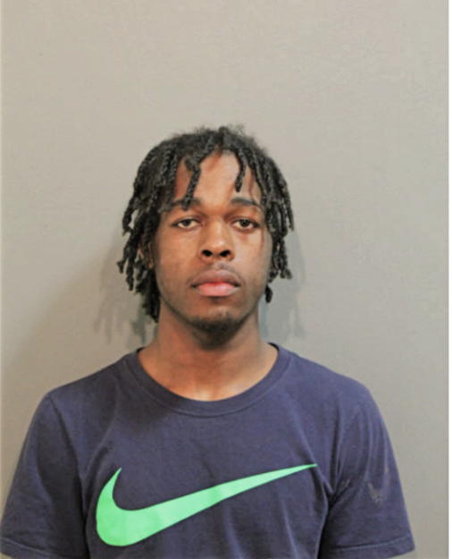 PARIS L BROWN, Cook County, Illinois