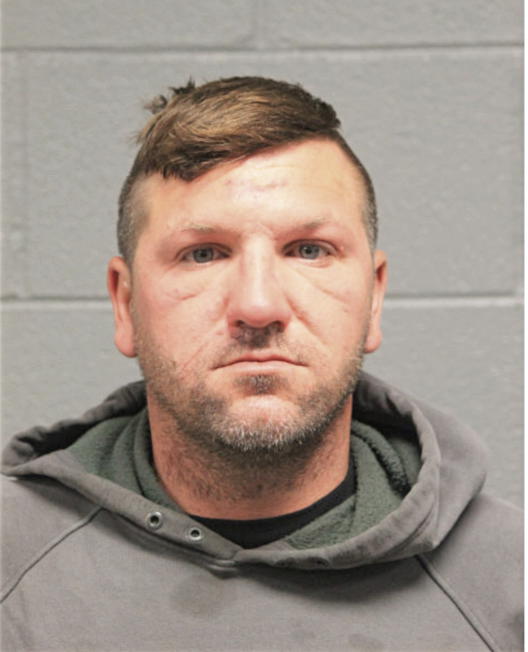 DANIEL S DOBOS, Cook County, Illinois