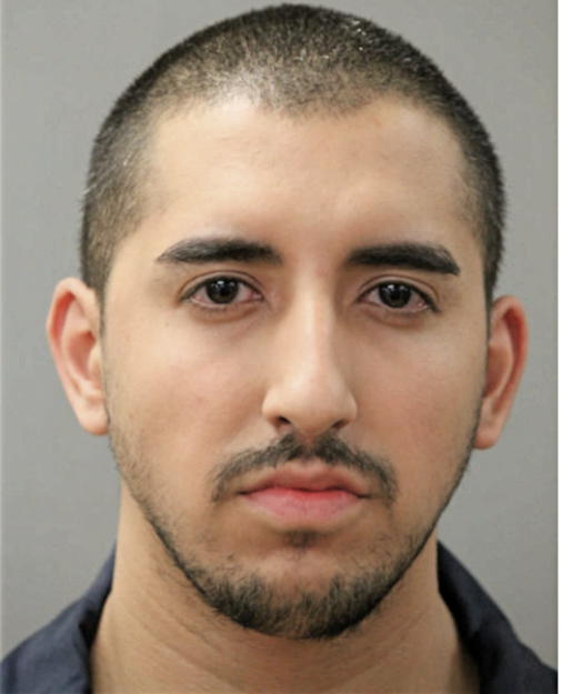 GUERRERO GARCIA, Cook County, Illinois