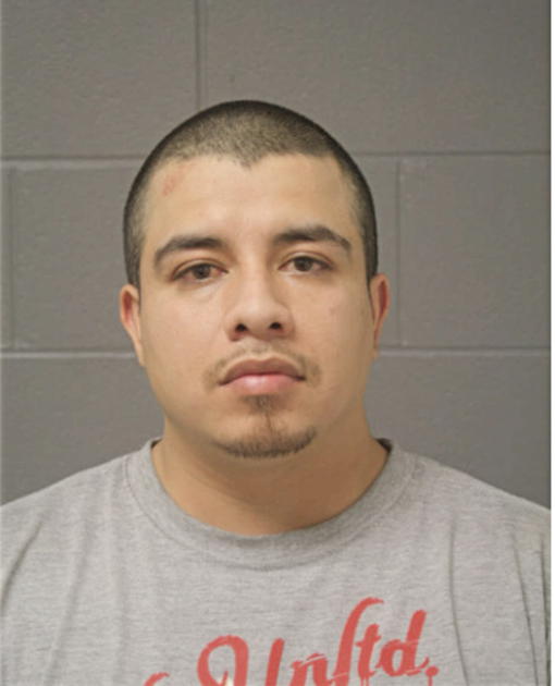 AMILKAR GONZALEZ, Cook County, Illinois
