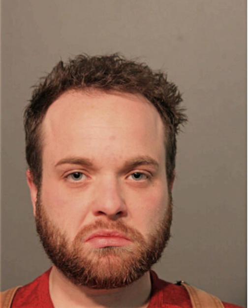 HEINRICH P HALEY, Cook County, Illinois