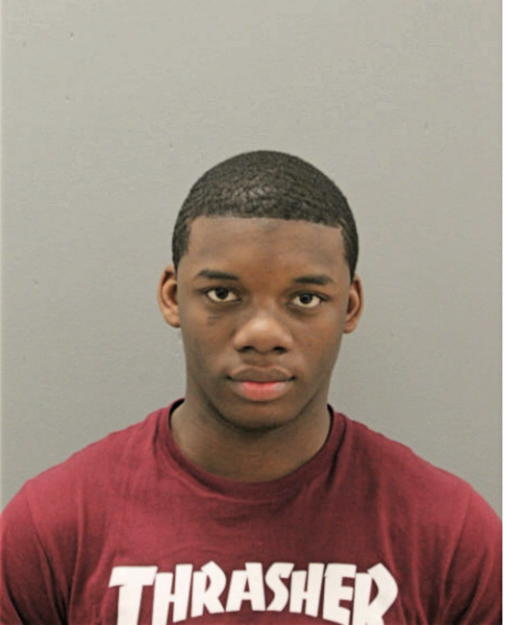 ROBERT L JOHNSON, Cook County, Illinois