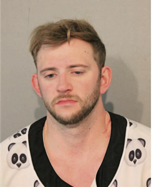 RYAN W KRUEGER, Cook County, Illinois