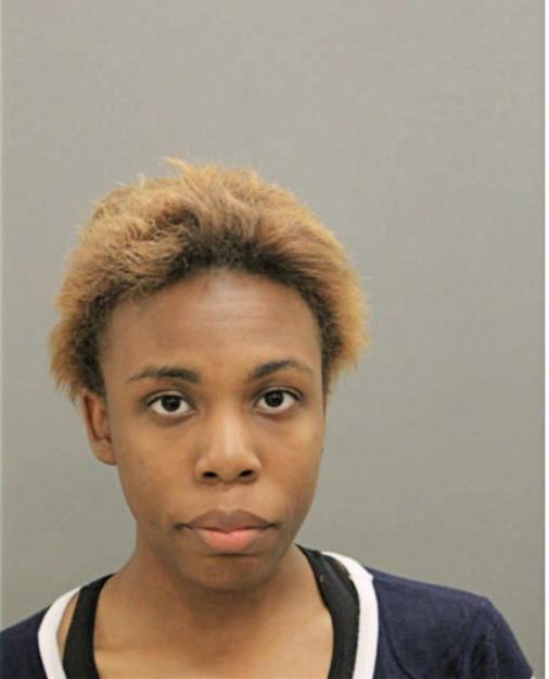 SARAH A LANGFORD, Cook County, Illinois