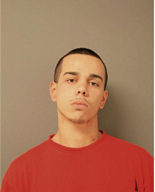 DAMION E LARIOS, Cook County, Illinois