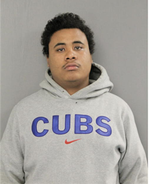 MISAEL KENNETH MELENDEZ, Cook County, Illinois