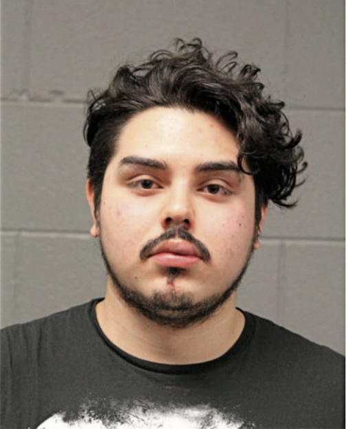 LUIS EDUARDO NAVARRO, Cook County, Illinois