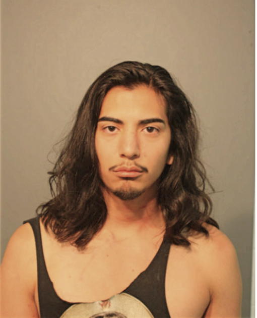 ANDRES PEREZ, Cook County, Illinois