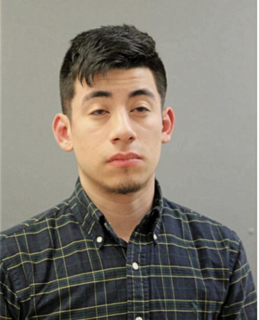 HANZEL RODRIGUEZ, Cook County, Illinois