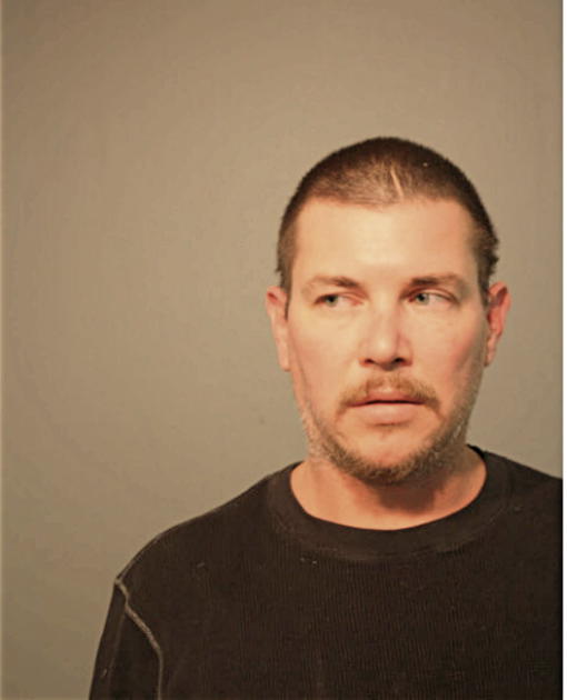 DAVID A SILVASI, Cook County, Illinois