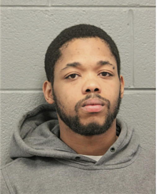 THEODORE A STEWART, Cook County, Illinois