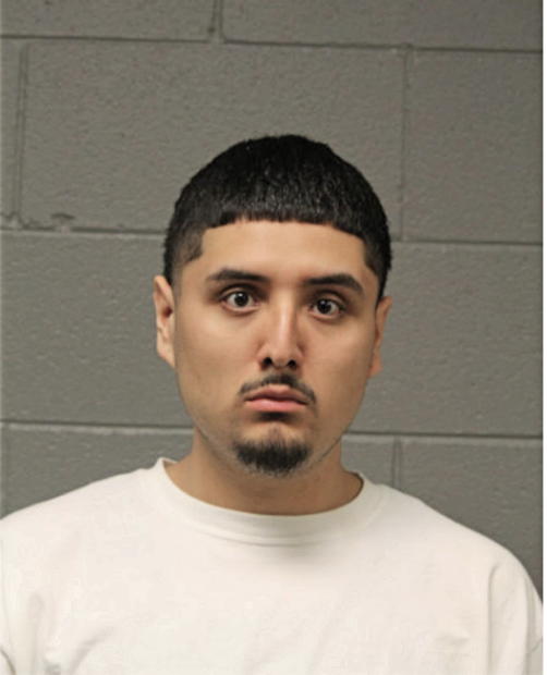 ANTHONY TORRES, Cook County, Illinois