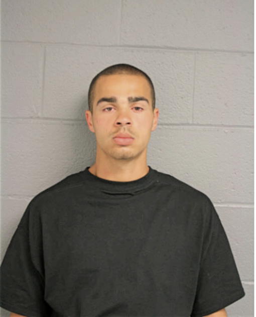 PAUL R TOWNES, Cook County, Illinois