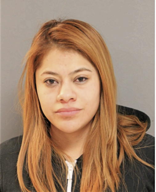 LUZ DIAZ VEGA, Cook County, Illinois
