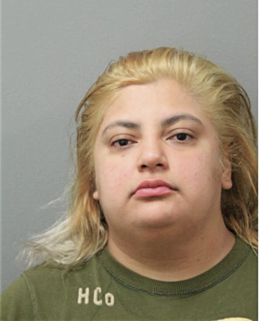 REYNA YANEZ, Cook County, Illinois