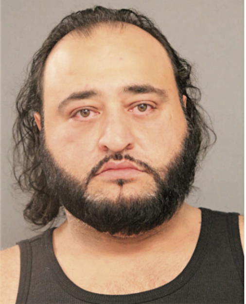ATIEH ADEL, Cook County, Illinois