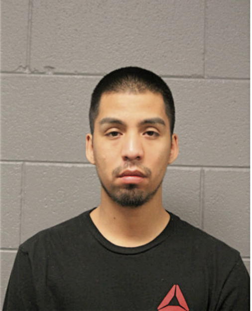 YOVANI ANDRADE, Cook County, Illinois