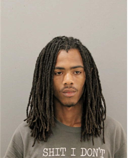 ARNEZ L BANKS, Cook County, Illinois