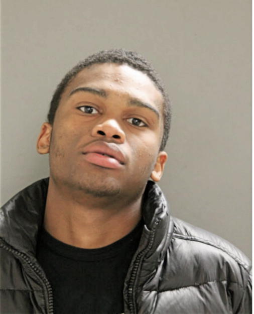 MARION JT BOONE, Cook County, Illinois