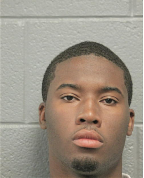 JULIUS T BURKE, Cook County, Illinois