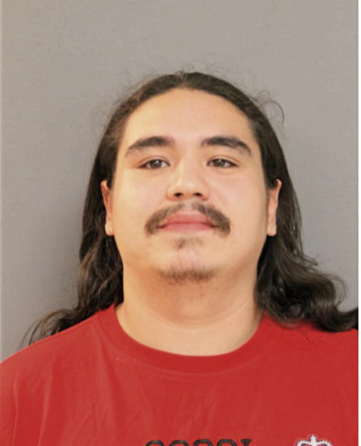 GABRIEL R ELIZONDO, Cook County, Illinois